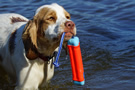 Dukeries' Clumber Spaniel Deli