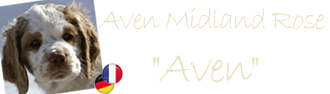Here you can find the photo album of Aven