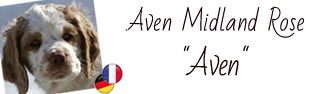 Album of Aven