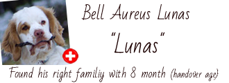 Album of Lunas