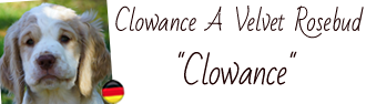 Album of Clowance